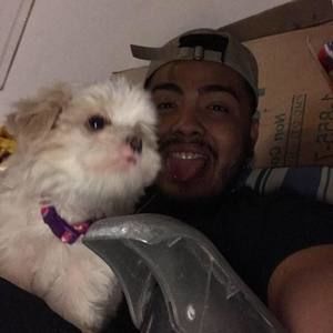 Meet your Posher, Carl andre